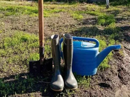 Переселенців, чия земля знаходиться на тимчасово окупованій території Запорізької області, закликали подавати заявки до нової програми