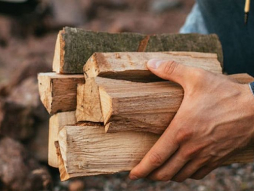 Мешканці Запорізької області можуть безкоштовно отримати дрова: куди звертатися