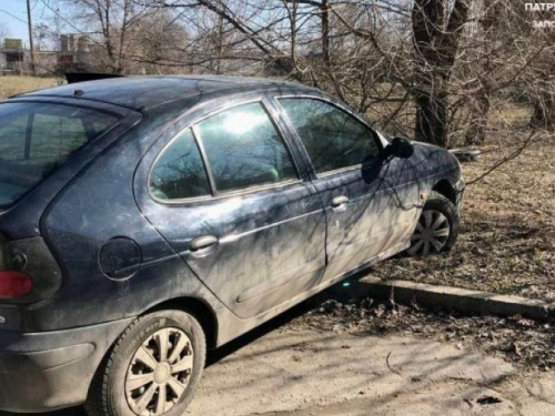 В Запорожье пьяный водитель пытался уехать от полицейских - помешало дерево