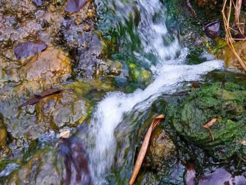 Як виглядає водоспад під Запоріжжям в останній місяць осені - фото