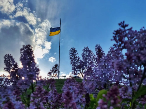 Фото Таїсії Іщенко, ілюстративне
