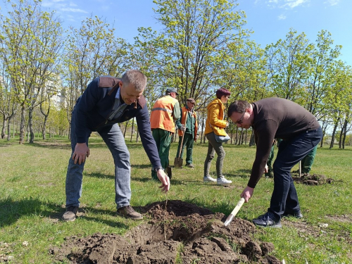 У Запоріжжі з'явилася алея дубів із «шевченківським корінням» (фото)