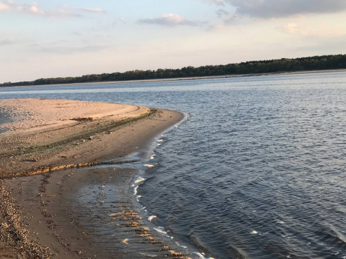 Купатися заборонено: у Дніпрі в межах Запоріжжя виявили небезпечні вібріони