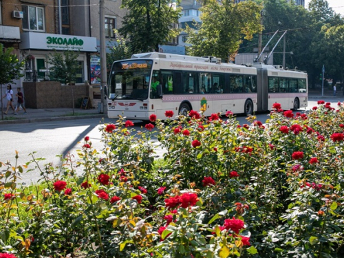 У Запоріжжі 18 вересня на пів дня обмежать рух двох тролейбусів