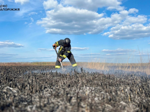 Палав очерет – рятувальники загасили пожежу у Запоріжжі