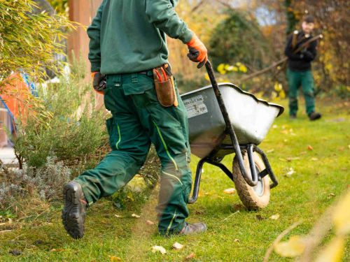 Що робити на городі в березні: практичні поради садівникам