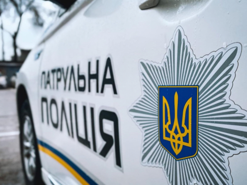 Лежало знесилене посеред дороги - у Запоріжжі патрульні врятували маленьке совеня (фото, відео)