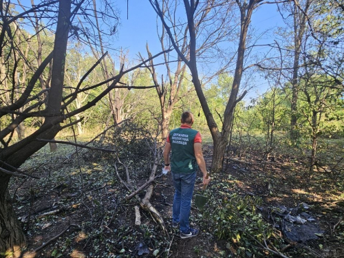 У Запорізькому районі після обстрілу АЗС екоінспектори виявили забруднення ґрунту
