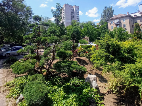 Стильно, зручно та красиво: що треба враховувати під час озеленення прибудинкових територій у Запоріжжі