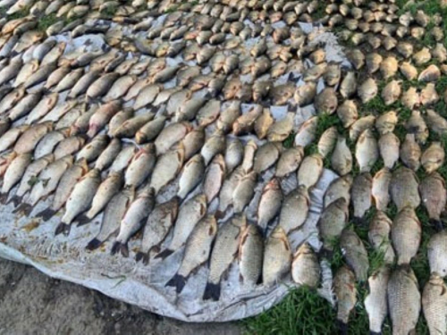 У Запоріжжі браконьєр за раз наловив понад 200 кг риби - ні скуштувати, ні продати не вдалося