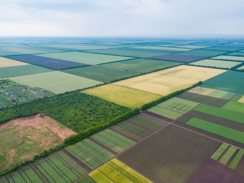 Безкоштовно отримав ділянку для господарських робіт - в Запоріжжі через суд конфіскували землю в іноземця
