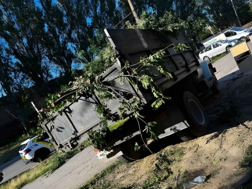 У Дніпровському районі міста без дозволу майже повністю знищили дерево