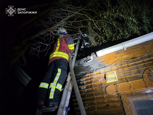 У Запоріжжі ввечері загорілась лазня - причина пожежі (фото)