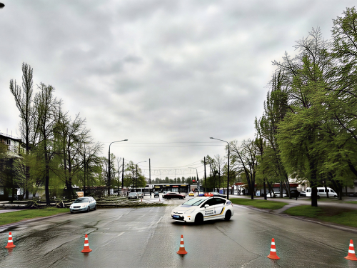 Сильний вітер у Запоріжжі 23 квітня повалив дерева. Рух дорогами ускладнений.