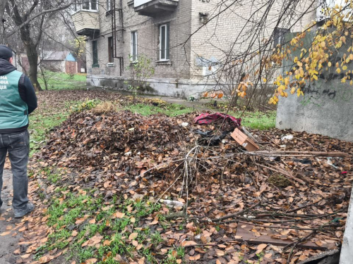 Стихійні сміттєзвалища в Олександрівському районі Запоріжжя: екологічна інспекція виявила забруднені ділянки