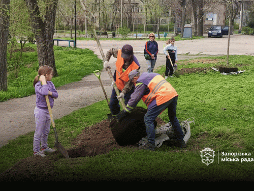 Висаджували навіть діти - у запорізькому парку з'явилися дві сотні нових дерев та кущів (фото)