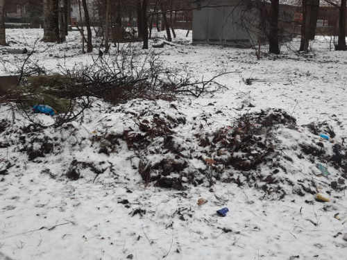 Сміття у дворі Вознесенівського району. 