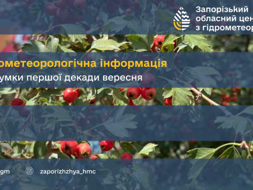 Спека і сухість загрожують посівній - аграрії Запорізького району б’ються з ґрунтовою засухою