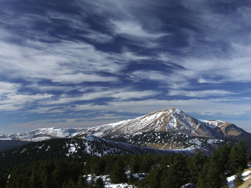 Телефон розряджався, а сил майже не лишилося — туристка із Запоріжжя заблукала в Карпатах (фото)