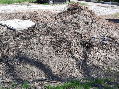 Сміття біля будинку: у Запоріжжі екологи знайшли несанкціоноване скупчення відходів (фото)