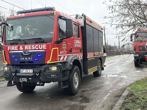 Рятувальники прийшли на допомогу: в Запоріжжі з колодязя витягли корову (фото, відео)