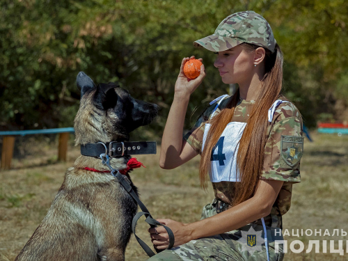 Змагання разом з чотирилапими напарниками - у Запоріжжі пройшов чемпіонат серед кінологів силових структур