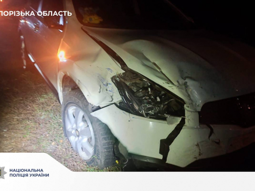 На Запоріжжі в аварії постраждав 17-річний мотоцикліст - хлопця госпіталізували до реанімації (фото)