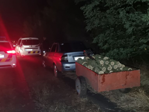 Пиляв у темноті - у Запорізькій області браконьєр з пилою та дровами потрапив до рук правоохоронців (фото)