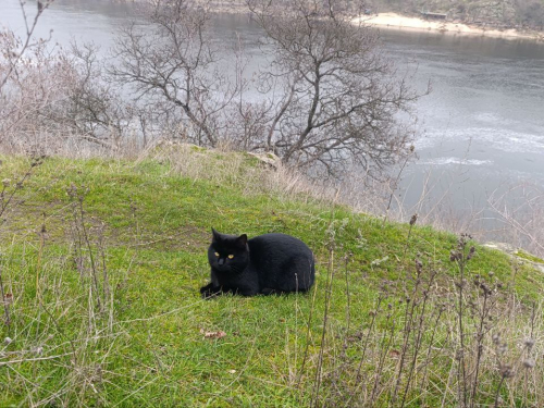 Хортиця, весняна погода. Фото Антоніни Фролової