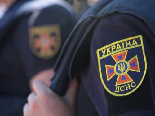 Потрапив у пастку - в Запоріжжі собака провалився на чотириметрову глибину і не міг вибратися (відео)