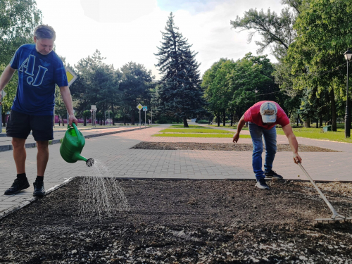 Квітучий експеримент - ділянки в центрі Запоріжжя засіяли різнотрав'ям (фото)