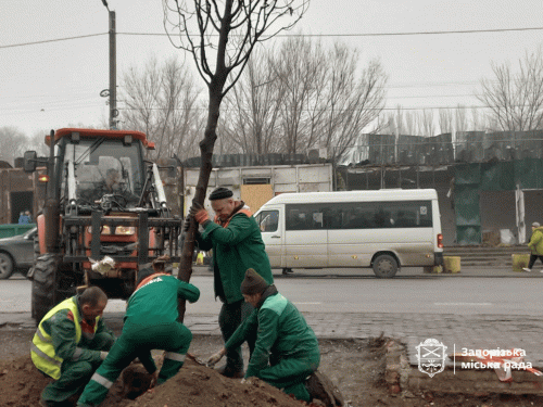 У Запоріжжі на місці загибелі людей після прильотів висадили молоді липи (фото)