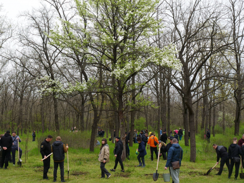 У День довкілля в парку на Хортиці посадили понад сто молодих дубків - фото