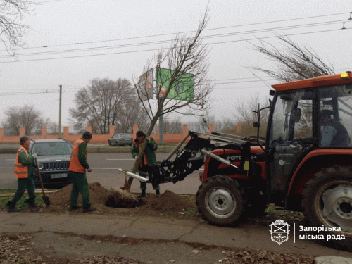 У Запоріжжя висадили нові дерева — у парку та сквері з&#039;являться сакури та сливи Пісарді (фото, відео)