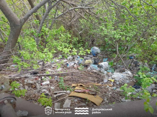 Мальовниче місце зіпсувало звалище: у Запоріжжі містяни виявили купу відходів просто неба (фото)