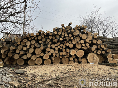 Вирубували дерева та продавали -  у Запорізькому районі поліцейські затримали трьох чоловіків