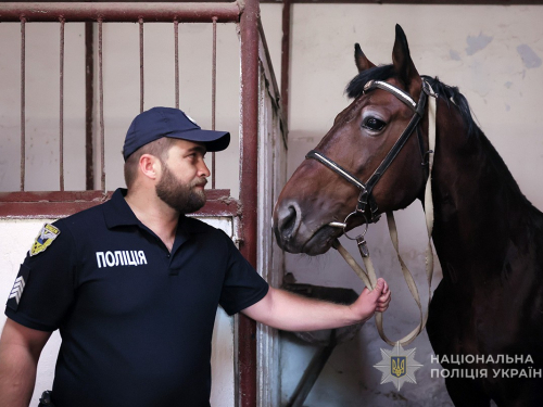Гек і Гуляка стали патрульними - У Запоріжжі кінна поліція отримала нових скакунів (фото)