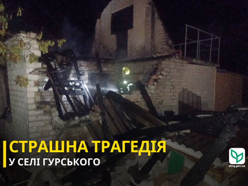 Двоє людей з тяжкими опіками - на Запоріжжі вибух газового балона перетворив дачу на згарище