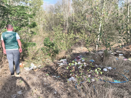 Зробили звалище на природі - в одному з районів Запоріжжя натрапили на смітник (фото)