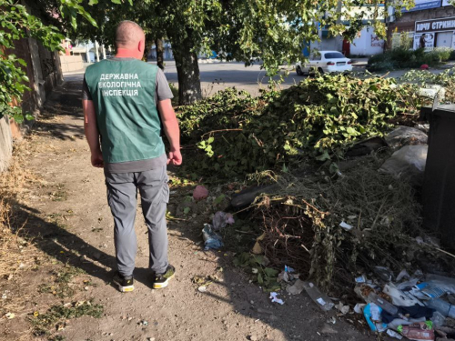Купи гілок та побутових відходів - у Запоріжжі екоінспектори виявили стихійне сміттєзвалище (фото)