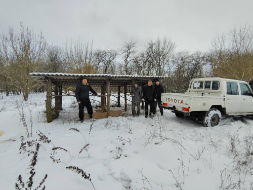 Дикі тварини Хортиці отримують допомогу – як у заповіднику підтримують звірів узимку (фото)