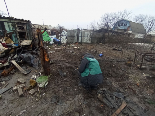 Оцінили шкоду довкіллю: у Запоріжжі екологи зафіксували наслідки обстрілів (фото)