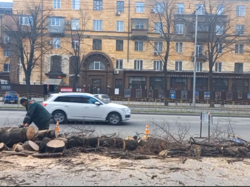 На центральному запорізькому проспекті масово спиляли дерева - міська влада прокоментувала ситуацію (відео)