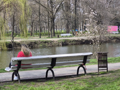 Алея магнолій у запорізькому "Дубовому гаю". Фото: Костянтин Антонець