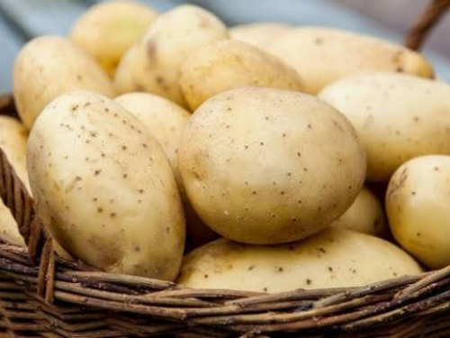 Не кладіть картоплю куди завгодно: як зберігати її, щоб не проростала, фото: ілюстративне 
