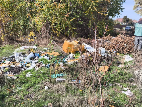 Сміття &quot;сховали&quot; за деревами — у Запоріжжі в приватному секторі виявили стихійне звалище (фото)