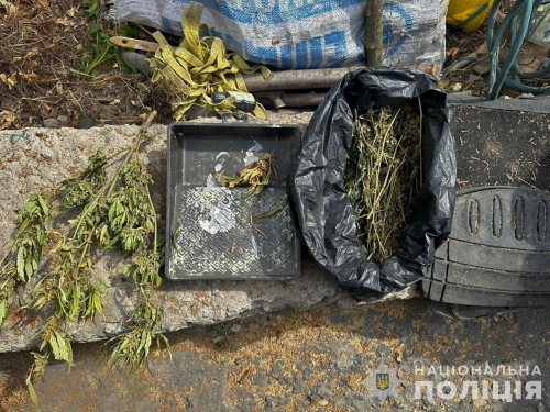 Канабісу більш ніж на мільйон гривень - у Михайлівці поліція затримала чоловіка