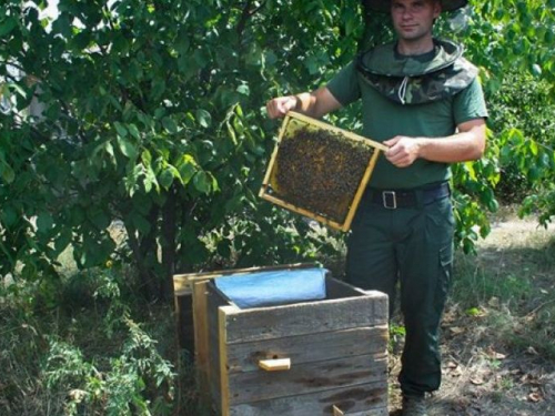 На блокпості в Запорізькій області нацгвардієць облаштував справжню пасіку