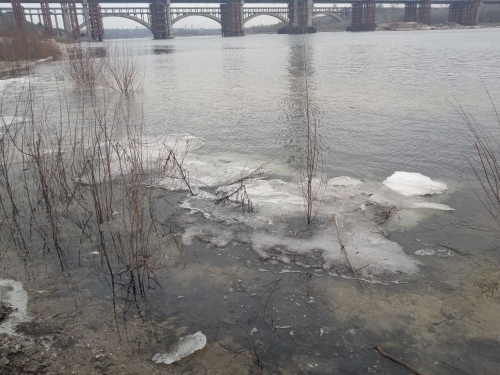 Яка погода буде у Запоріжжі найближчими вихідними - прогноз