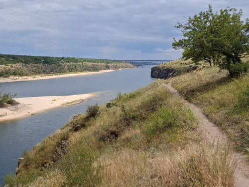 Фрагмент човна, послання з минулого, величезні дерева - у Запоріжжі натрапили на скарб історії Старого Дніпра (фото, відео)